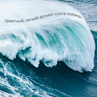 Гель для мытья пола Hausmann с антибактериальным эффектом 1л
