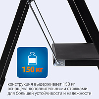 Стремянка двухступенчатая Shan